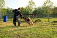 /album/galerie-de-photos-ring/a457a-jpg/