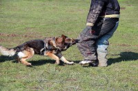 /album/galerie-de-photos-ring/a387a-jpg/