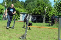 /album/galerie-de-photos-agility/a501a-jpg/