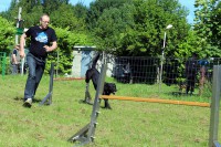 /album/galerie-de-photos-agility/a501a-jpg/